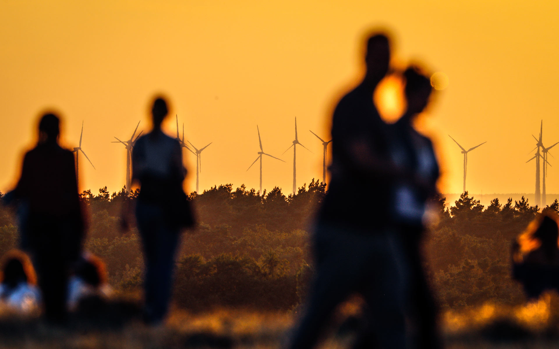 Windkraftwerke bilen die Kulisse für Spaziergänger:innen