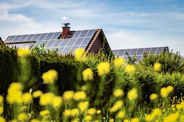 Hinter einer Blumenwiese stehen mehrere Häuser mit Solarzellen auf den Dächern.