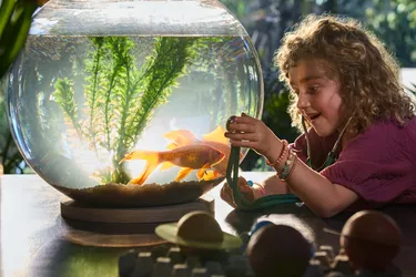 KV01_Goldfish_Stethoscope_0145_02_sRGB