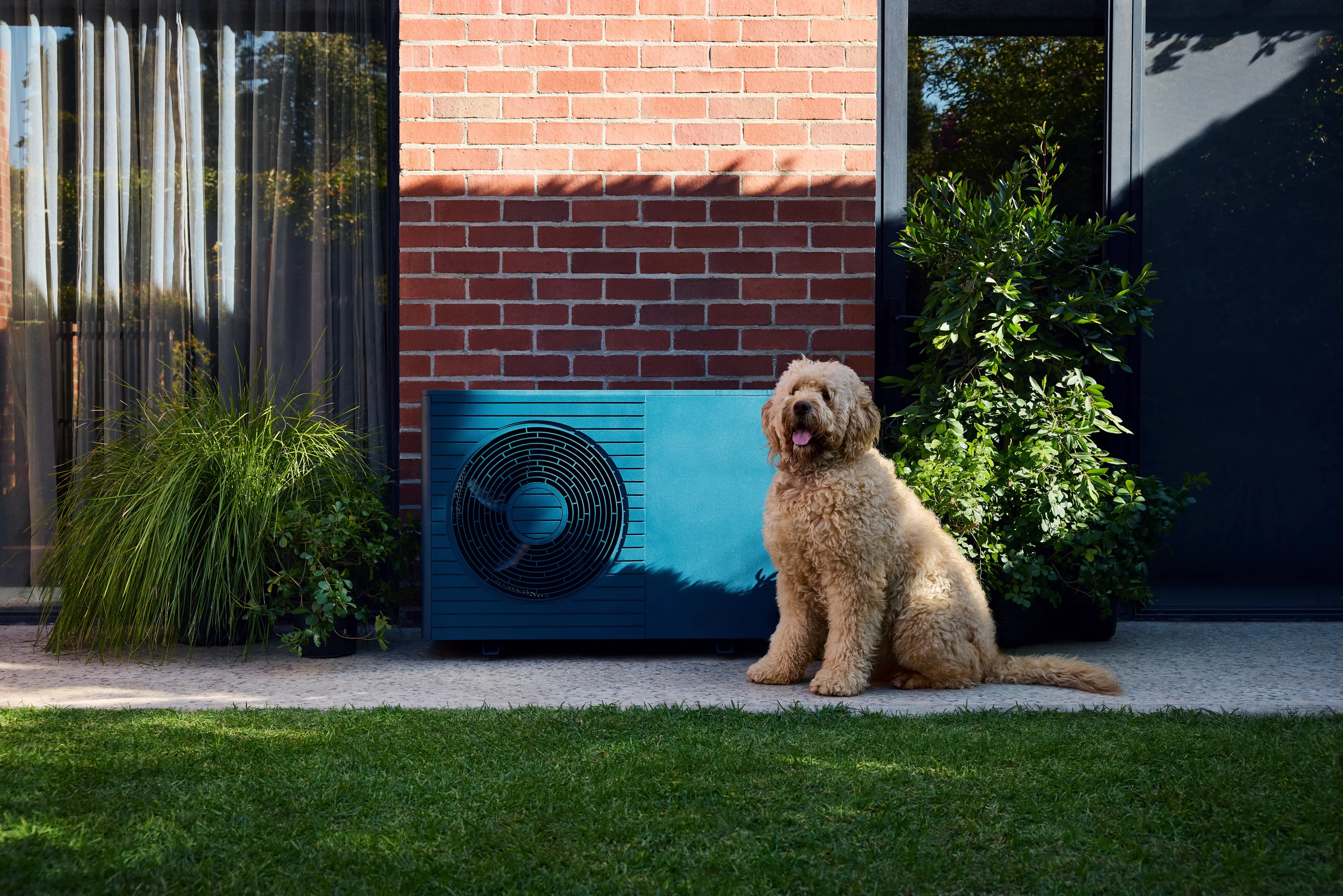 SMART_HEATING_HEAT_PUMP_0623_03_normal_sRGB Hund sitzt vor Wärmepumpe