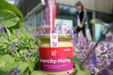 enercity_Honig_Kundencenter_Qa_03_Ina_Richter