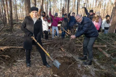 enercity-CEO Dr. Susanne Zapreva und Jürgen Wache, Sprecher des Vorstandes der Hannoverschen Volksbank, pflanzen im Grundwasserschutzwald Bäume mit einer 5. Klasse der Leonore-Goldschmidt-Schule Hannover der Leonore-Goldschmidt-Schule Hannover  (Fotos: Tim Schaarschmidt / enercity)
