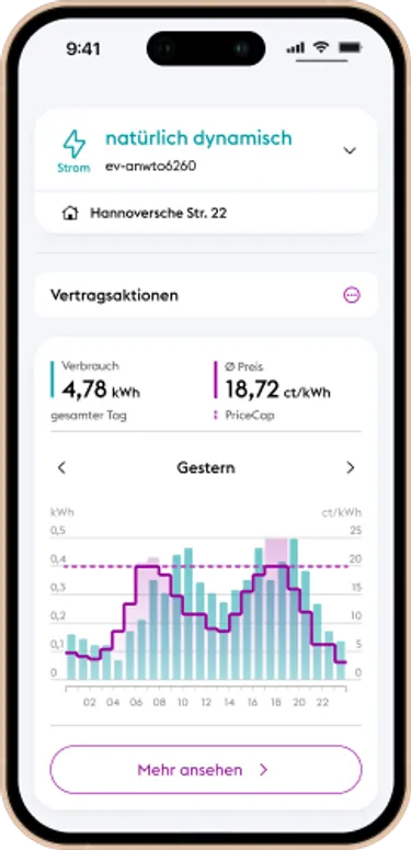 Dynamischer Tarif mit Price Cap