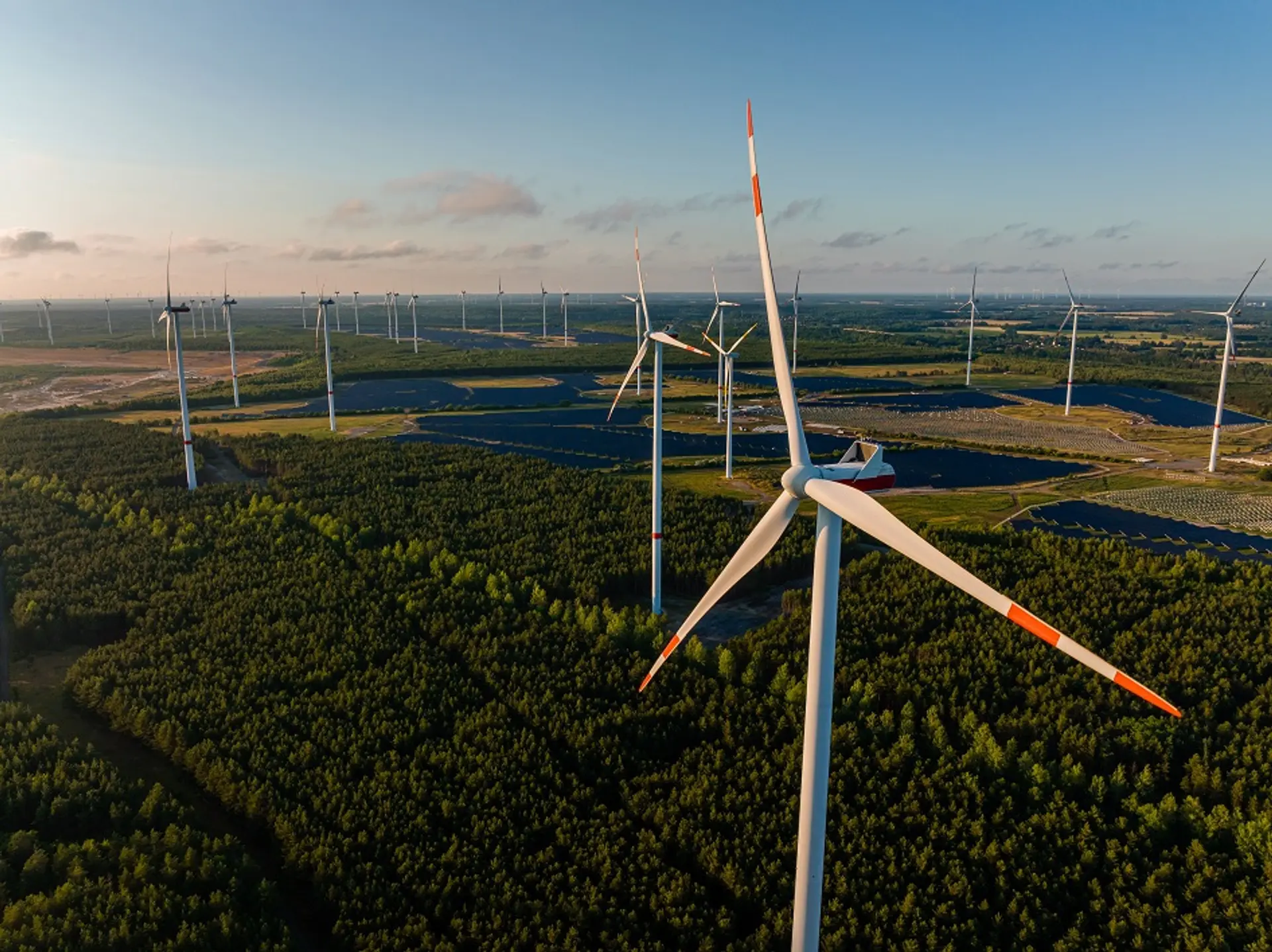 Luftaufnahme von Windturbinen, die in einem Waldgebiet stehen, umgeben von Bäumen und natürlicher Vegetation.