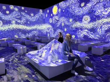 VanGogh_1_(c)COFO Entertainment