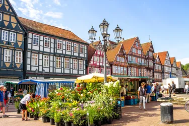 Celle Fachwerkhaeuser