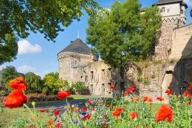 Andernach_AdobeStock_189060178