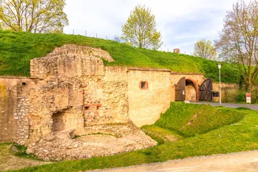 Rüsselsheim_AdobeStock_78252076