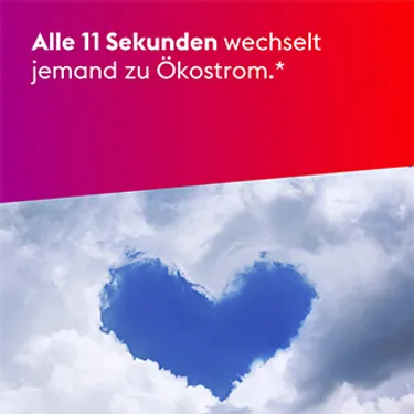 lib-meme-post-11-sekunden-ökostrom-1c