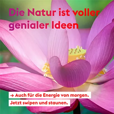 lib-post-magazin-bionik