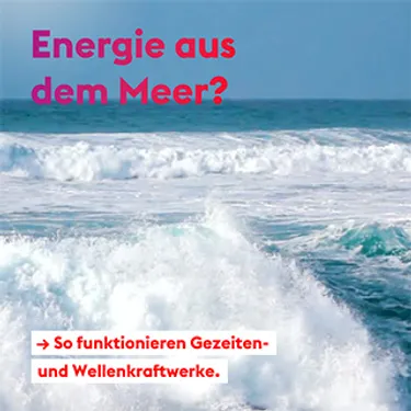 lib-post-magazin-tag-des-meeres