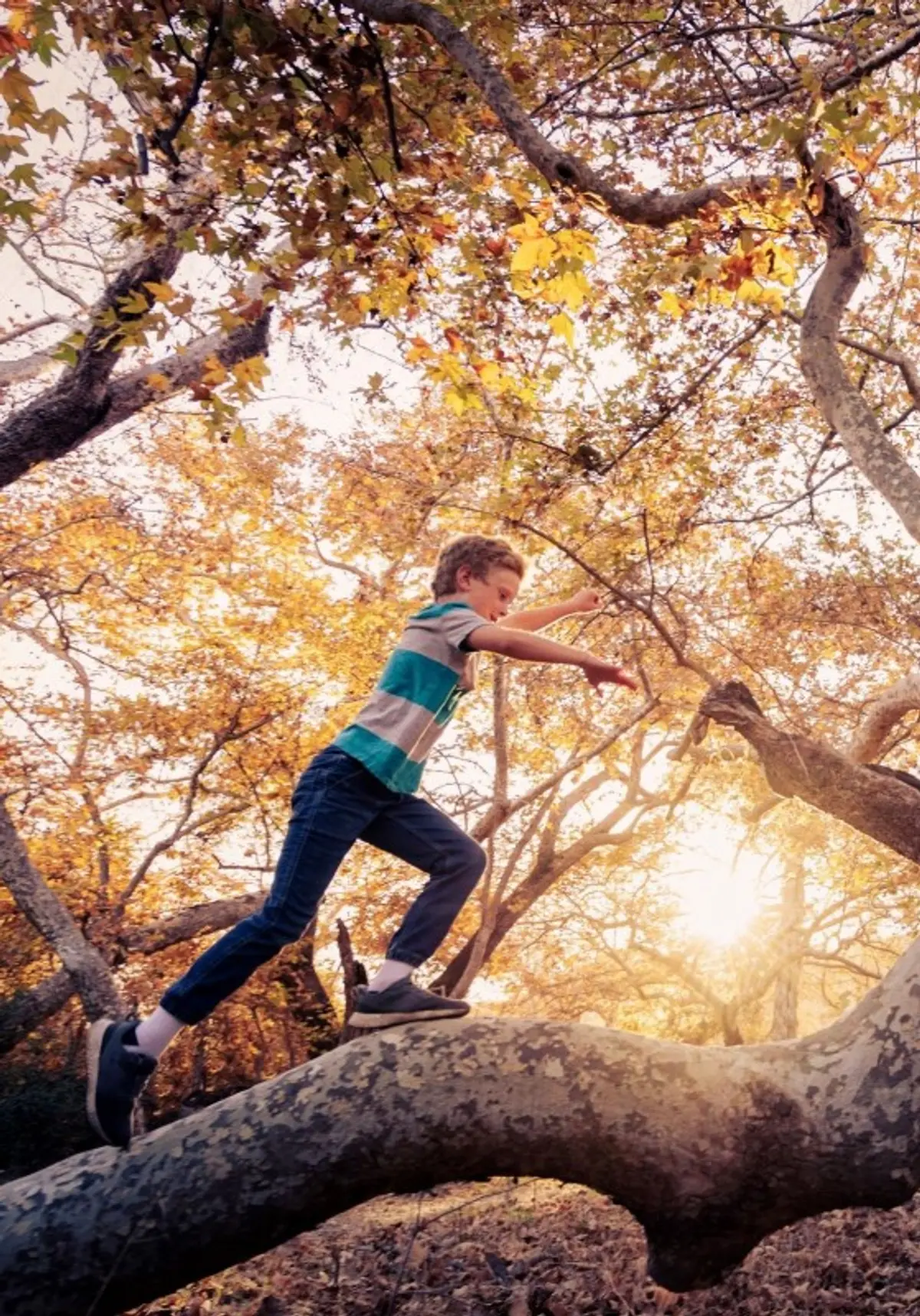 konzern-teaser-main konzern-teaser-main