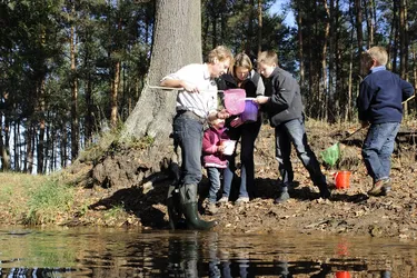 Familie im Wasser