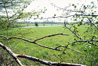 Grasdorf-Landschaft