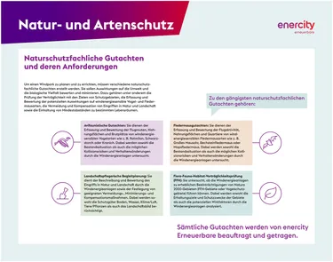 3.3_2024-11-18_KB_enercity_Infotafel_1400x1100_NaturschGutachten_PR