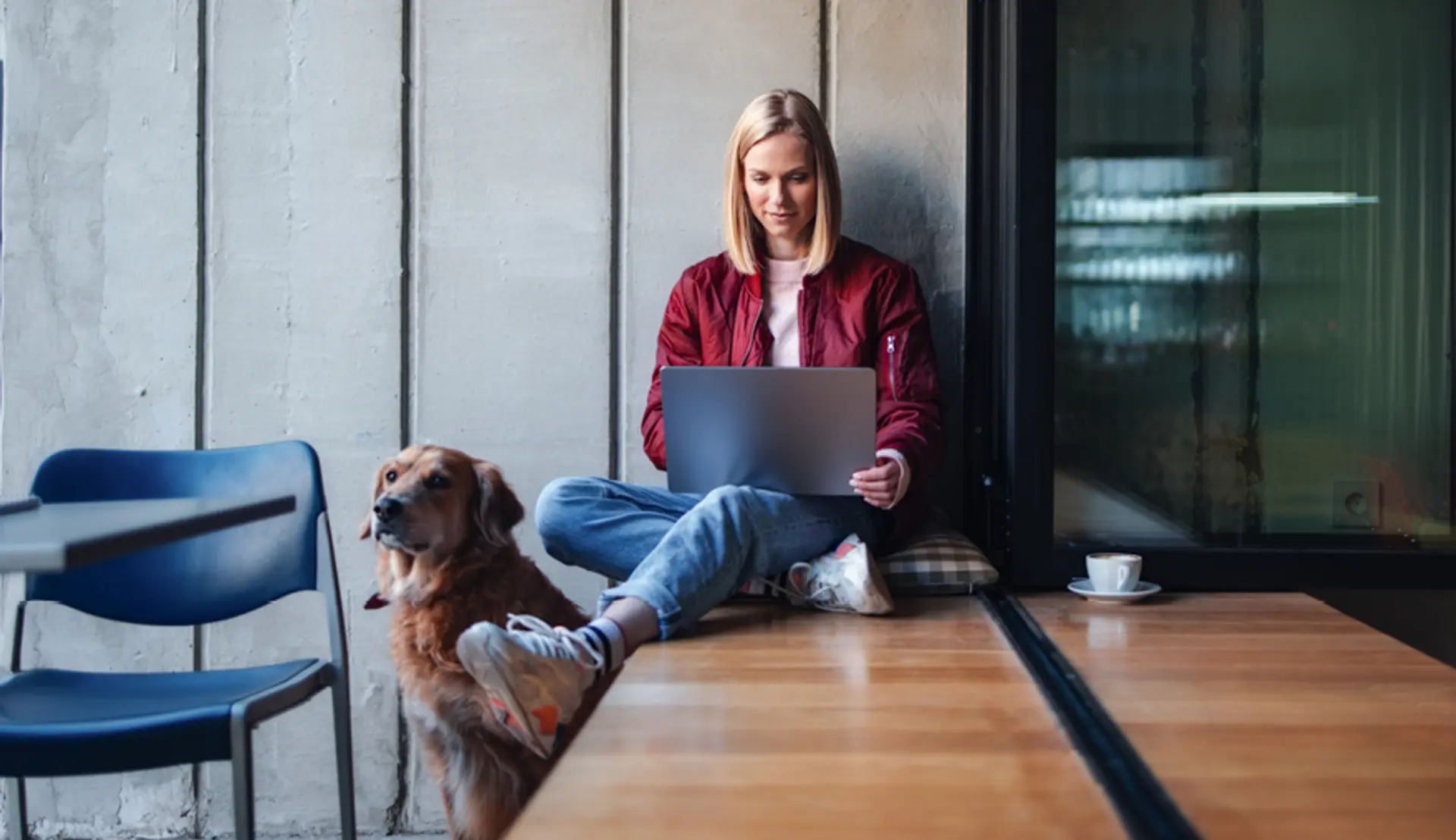 Frau am Laptop mit Hund Frau am Laptop mit Hund