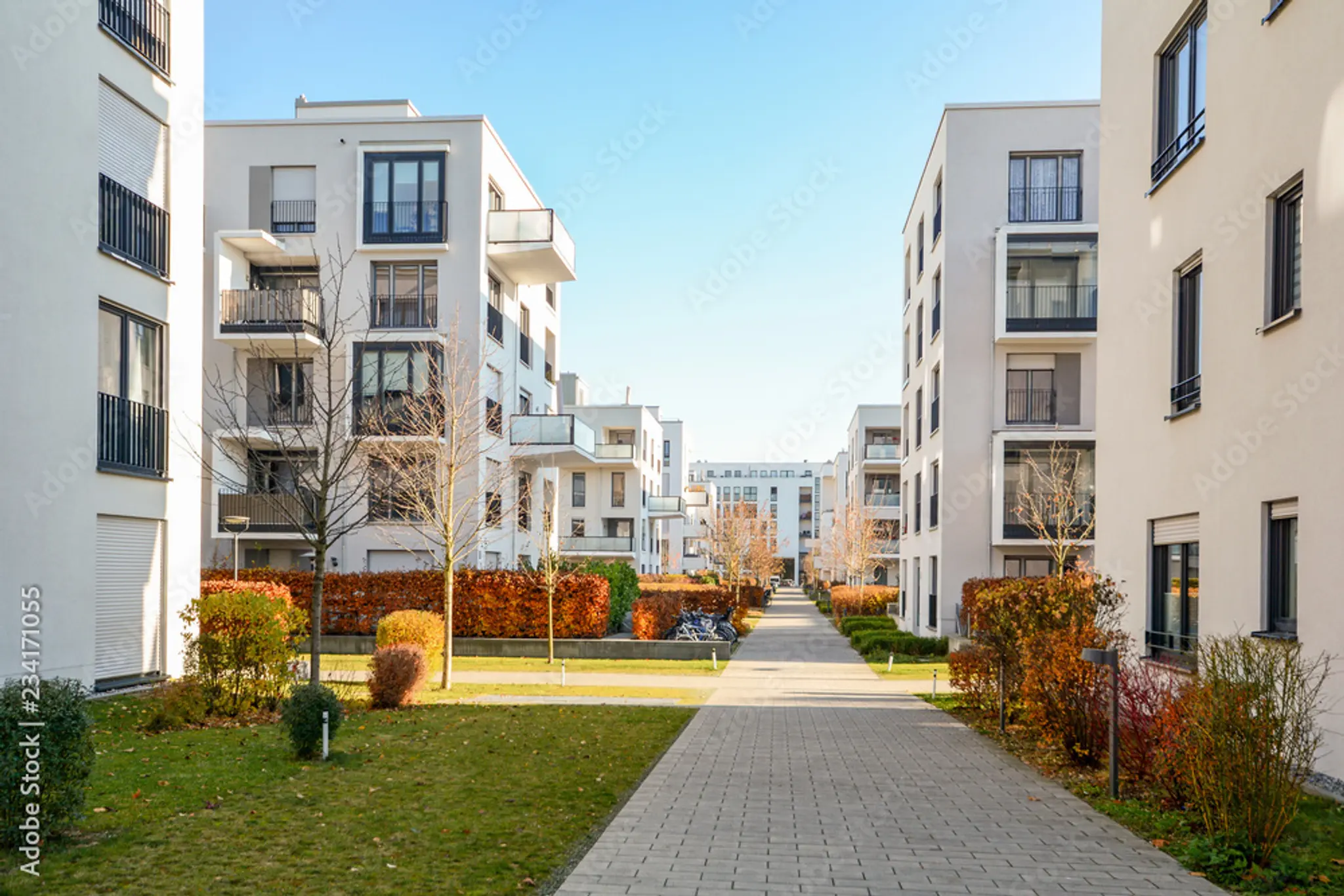AdobeStock_234171055_Preview AdobeStock_234171055_Preview