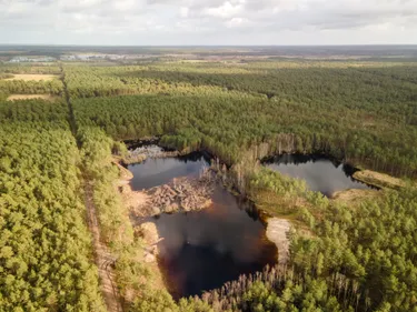 Bild Feuchtbiotop 02-2024