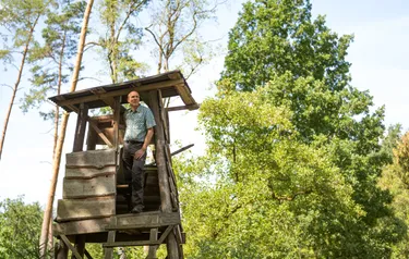 Hochsitz_Zustand-Wald_A7307163