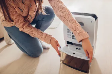 Eine Frau kniet neben einem elektrischen Raumentfeuchter und setzt einen geleerten Wasserbehälter ein