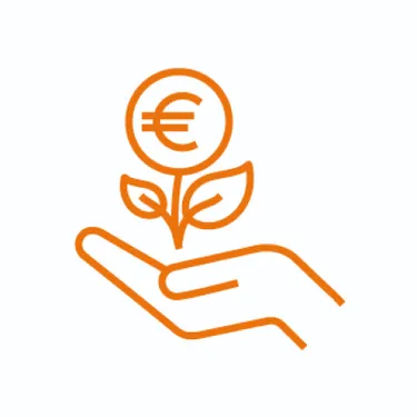 Icon Investitionskosten