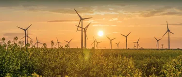 Windenergieanlagen in der Landschaft