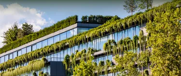 Begrünte Fassade für resiliente Städte