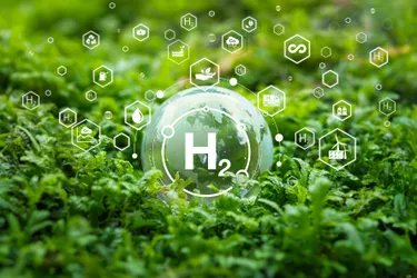 Das Symbolbild zeigt stilisierte Wasserstoffatome und kleine Nachhaltigkeitsicons auf einem mit grünen Pflanzen bewachsenen Waldboden