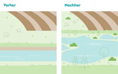 Zwei Grafiken zeigen ein Gewässer vor und nach der Renaturierung
