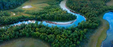 Aufnahme der Wulbeck aus der Vogelperspektive