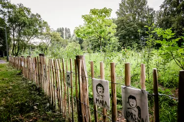Eingezäunter Tiny Forest im Park von Haus Berge im Essener Stadtteil Bochold