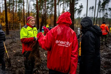 enercity-Förster Olaf Zander mit den Mitarbeitenden von enercity im Fuhrberger Feld.