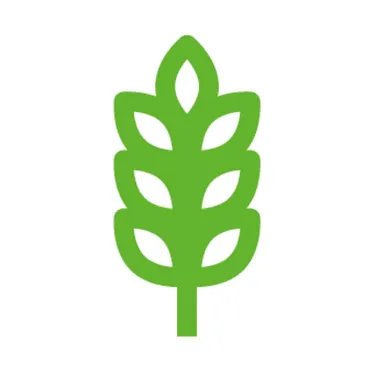 02-biomethan-blockheizkraftwerke-kohleausstieg-ersatzanlagen