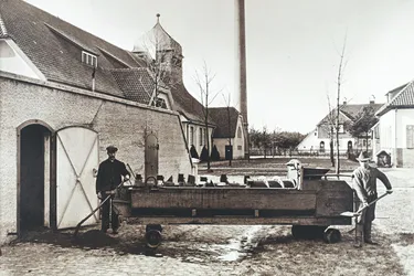 Wasserwerk-Elze_Wasser-marsch_DSCF6993 [de]_1784B04D5DF_484602;2