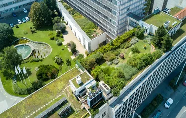 Sicht aus der Vogelperspektive auf ein Gebäude mit Dachbegrünung