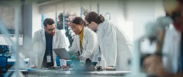 Mitarbeitende im Labor schauen gemeinsam auf einen Laptop