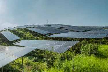 Photovoltaikanlage auf einem grünen Hügel