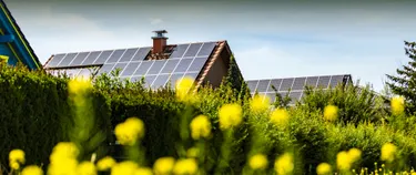 Hinter einer Blumenwiese stehen mehrere Häuser mit Solarzellen auf den Dächern.