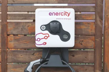 Wallbox. This picture shows an enercity wallbox with a charging cable.