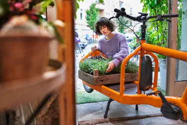 E-Lastenrad wird von Frau mit Lavendel beladen