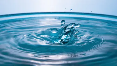 shutterstock_1704366520