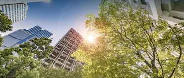 Die grünsten Städte der Welt: Wenn es darum geht, Natur, Nachhaltigkeit und urbanes Leben miteinander zu vereinen. Das Bild zeigt Hochhäuser in einer Stadt mit Bäumen und Sonnenstrahlen.