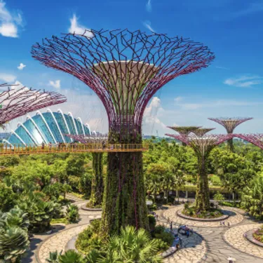 Die grünsten Städte der Welt: Singapur. Das Bild zeigt die Supertrees“ – trichterförmige Mammutbäume aus Stahl und Beton in Singapur.