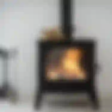 Holz gilt als CO₂-neutraler Energieträger. Das Bild zeigt einen Kamin, in dem gerade Holz verbrannt wird.