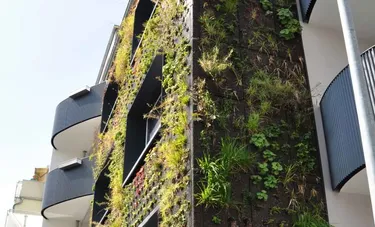 Fassadengarten. Dieses Bild zeigt einen Ausschnitt eines Mehrfamilienhauses in Hannover, dessen Fassade mit einem automatisch bewässerten Garten mit kleinen Pflanzen bedeckt ist. 