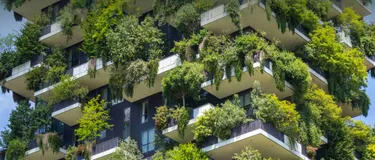 Grün in der Stadt. Dieses Bild zeigt ein Mehrfamilienhaus, welches von vielen Grünpflanzen umgeben ist.