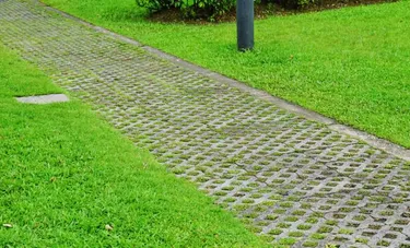 Rasengittersteine. Dieses Bild zeigt einen mit Rasengittersteinen gepflasterten Weg auf einer grünen Wiese.