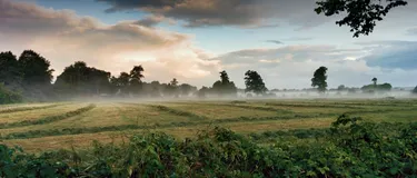 Grüne Wärmewende in Quickborn: Das Bild zeigt neblige Wiesen und Wälder in der Morgendämmerung.