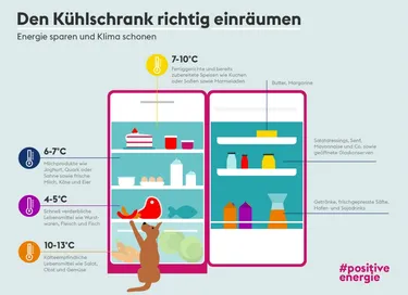 Die Infografik zeigt, wo im Kühlschrank was angeordnet werden sollte. In den unteren Schubladen sollten kälteempfindliche Lebensmittel wie Obst und Gemüse gelagert werden. In der ersten Ebene von unten frische Lebensmittel wie Fleisch oder Wurst. Im mittleren Teil Milchprodukte und im ganz oberen Bereich Fertiggerichte wie Kuchen.