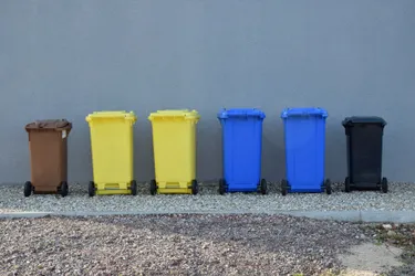 Klimaschutz und richtige Mülltrennung: Das Bild zeigt braune, gelbe, blaue und schwarze Mülltonnen.